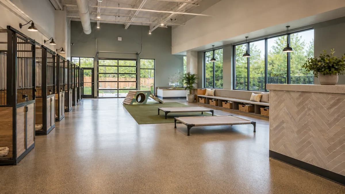 Dog Daycare & Boarding